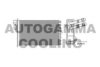 AUTOGAMMA 102423 Heat Exchanger, interior heating